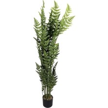 Mikasa Ferns Tree Yapay Ağaç 160cm