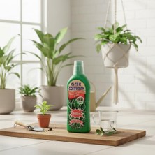Larskas Çiçek Coşturan Çiçeksiz Süs Bitkileri Için Özel Besin - Yeşil Yapraklı Bitki Gübresi - 600 ml