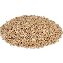 Larskas -Vivid Aspur Sade Kanarya Yemi 1kg