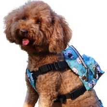 Larskas Köpek Sırt Çantası – Çantalı Goğüs Tasması, Su Geçirmez, Göğüs Tasması Fonksiyonlu, Ayarlanabilir, Cute, Large