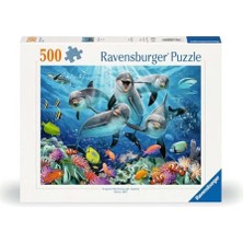 Larskas 500P Puzzle Yunuslar, Yapboz