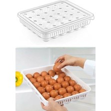 Larskas Deconox 30'lu Kapaklı Yumurta Saklama Kabı, Akrilik Plastik Yumurta Saklama Kabı, 30'lu Yumurtalık 681