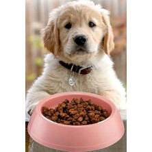 Larskas Büyük Boy  Kabı Su Kabı Evcil Hayvan Kedi Köpek  Kabı Çok Renkli 21CM Çap 1440