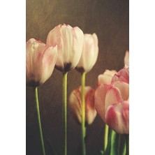 Karahanbey Dutch Tulips: Journal, Notebook, Or Diary - Blank Lined, 6 x 9 Inches, 150 Pages (Floral Series)