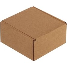 Larskas 8X8X4-100 Adet Kilitli E Ticaret Karton Kargo Kutusu