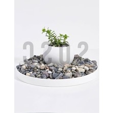 MarkEntegra Nazilli Dere Çakıl Taşı, 1-2 Cm, Saksı ve Bahçe Düzeni Için