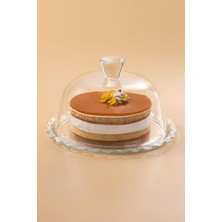Empressco Petite Patissérie Kek Tabağı, Kapaklı, Ayaksız, Şık ve Fonksiyonel Tasarım