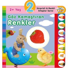 TeknoKapsül Yaş Göz Kamaştıran Renkler (2+Yaş)