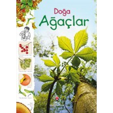 TeknoKapsül Doğa - Ağaçlar