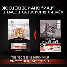 MarkEntegra Somonlu ve Pirinçli Yetişkin Kedi Maması 3 kg