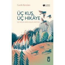 TeknoKapsül Üç Kuş, Üç Hikâye