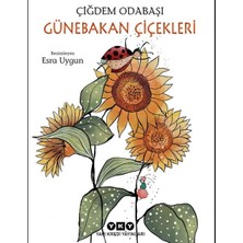 TeknoKapsül Günebakan Çiçekleri