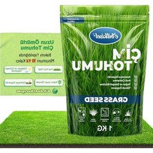 MarkEntegra 1 kg Çok Yıllık Çim Tohumu, Gölge ve Güneşli Alanlar Için Uygun Karışım