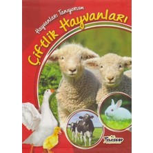 TeknoKapsül Hayvanları Tanıyorum Çiftlik Hayvanları