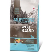 MarkEntegra Somon, Hamsi ve Yaban Mersini Içeren Mini Irk Yavru Köpek Maması 2,5 kg
