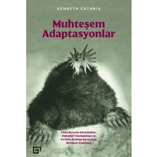 TeknoKapsül Muhteşem Adaptasyonlar