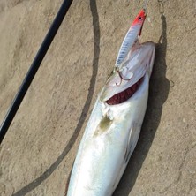 MarkEntegra 29GR 67MM Levrek Için En Iyi Jig Yem, Çeşitli Balık Türleri Için Uygun