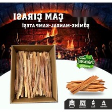MarkEntegra Doğal Çam Çırası - 2kg Hızlı Tutuşturucu