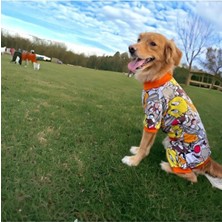 Empressco Yumuşak ve Konforlu Içi Polarlı Kedi ve Köpek Tulumu