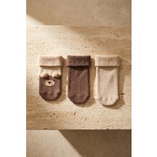 Bony Socks Bebek Teddy 3'lü Havlu Soket Çorap Kahverengi