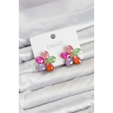 Hatıra Kutusu Karışık Renk Kristal Taşlı Çiçek Model Kadın Küpe - Lisinya