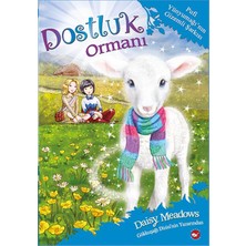 Hatıra Kutusu Dostluk Ormanı 12 Pufi Yünyumağı'nın Gizemli Şarkısı