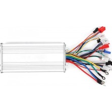 Roboyol Store 500W Fırçasız Dc Motor Sürücü