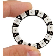 Roboyol Store 12 LED Halka WS2812B 5050 Rgb LED