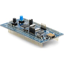 Roboyol Store STM32VLDISCOVERY Geliştirme Kiti