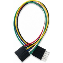 Roboyol Store 6 Pin Erkek Dişi Dupont Kablo