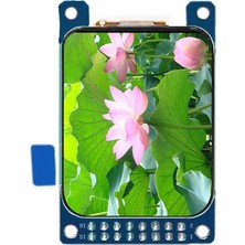 Roboyol Store 1.69 LCD Modül