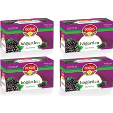 Doğuş Böğürtlen Çayı 20'li x 4 Paket Filtre Tipi Bitki Çayı Sağlıklı ve Ferahlatıcı İçecek
