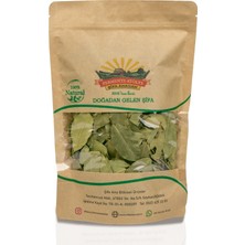 Şifa Ana Defne Yaprağı (100gr.)