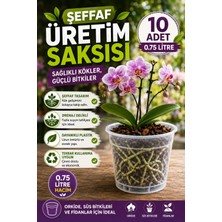 Plant Home Power Mix 10 Adet Orkide Üretim Saksısı -Şeffaf - 12 Pot 0.75 Litre