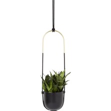 Umbra Weaver Ayarlanabilir Naylon Yularlığı, Büyük Için, Lavanta Rengi, Orijinal Model