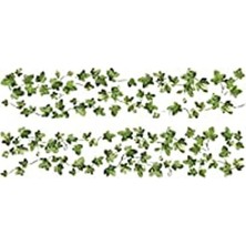 Esranın Dünyası Duvardan Çıkarılabilir "klettern Ivy" Duvar Çıkartması, 27 x 12,7 cm