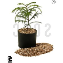 Esranın Dünyası Vermikülit - 3 Litre Kapasite ile Bahçe ve Tarım Için Uygun
