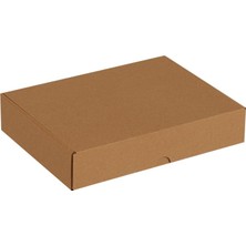 Larskas 26X19X5-25 Adet Kilitli E Ticaret Karton Kargo Kutusu