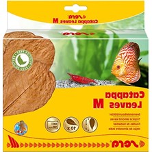 Esranın Dünyası Catappa Yaprağı M 18 cm (10 Adet)