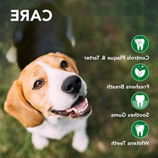 Esranın Dünyası Köpek Ağız Bakım Köpüğü - 150 ml (2 Paket)
