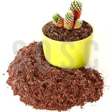 Larskas Hindistan Cevizi TORFU%100 Doğal Torf - Cocopeat Hindistan Cevizi Lifi - Doğal Bitki Toprağı 5 Lt
