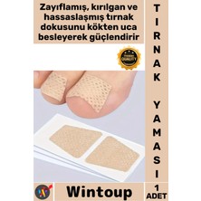 Wintoup #tırnak Mantar Tedavisi Hasarlı Tırnak Yenileme Sağlıklı Kolay Uygulama Ayak Tırnağı Onarım Yaması