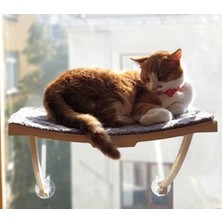 Larskas Yenilikçi Vantuzlu Kedi Yatağı, Cam ve Duvar Için