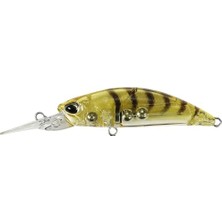 MarkEntegra Duo Spearhead Ryuki 50MDF CCC0312 Gold Shrimp Suni Yem