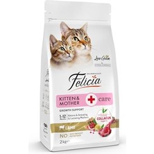 MarkEntegra Az Tahıllı, Yavru Kuzu Etli Hypoallergenic Kedi Sı, 2 kg