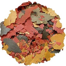 MarkEntegra 100 Gram Tetramin Flakes Pul Balık Yemi