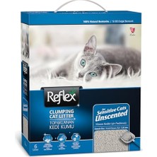 MarkEntegra Box Naturel Kedi Kumu, 6 L