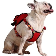 MarkEntegra Gimme Five Kırmızı Çantalı Göğüs Tasması,köpek Sırt Çantası – Göğüs Tasması Işlevli, Geri Dönüştürülmüş Malzeme, Ayarlanabilir, Çok Cepli, 5 Renk Seçenekli, Small Recycled