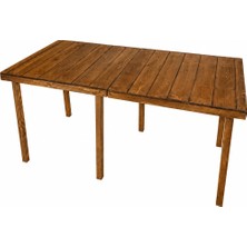Woodensa Çok Amaçli Katlanabilir Kamp, Piknik Masasi Ceviz 60X60X9