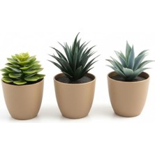 MarkEntegra Üçlü Mini Yapay Sukulent Seti – 8 cm Saksı, Dekoratif Küçük Bitki Seti, Gerçekçi Görünüm, Salon Ofis Ev Masa Üstü Süs Bitkisi, Bakım Gerektirmez, Modern Dekor